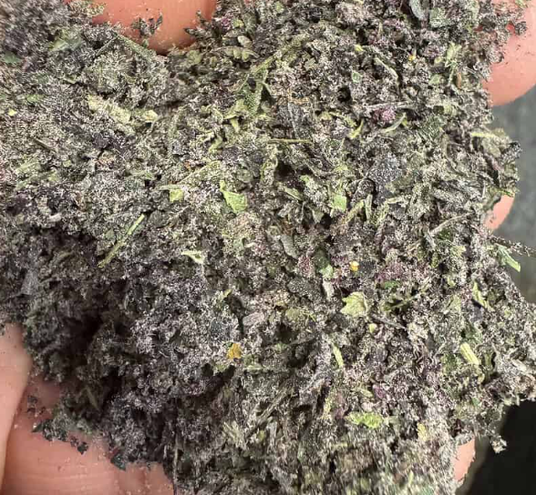 Blueberry Z THCa Shake  7 Grams