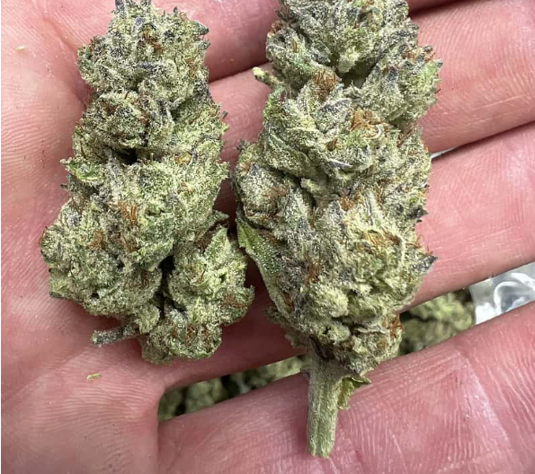 Super Boof THCa Flower 3.5