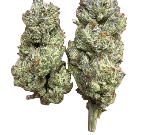 Super Boof THCa Flower 14 Grams