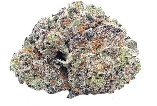 White Truffle THCa Flower 3.5