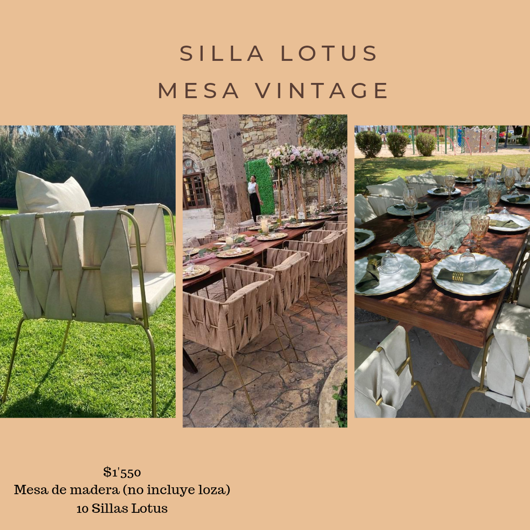 Silla Lotus y mesa vintage