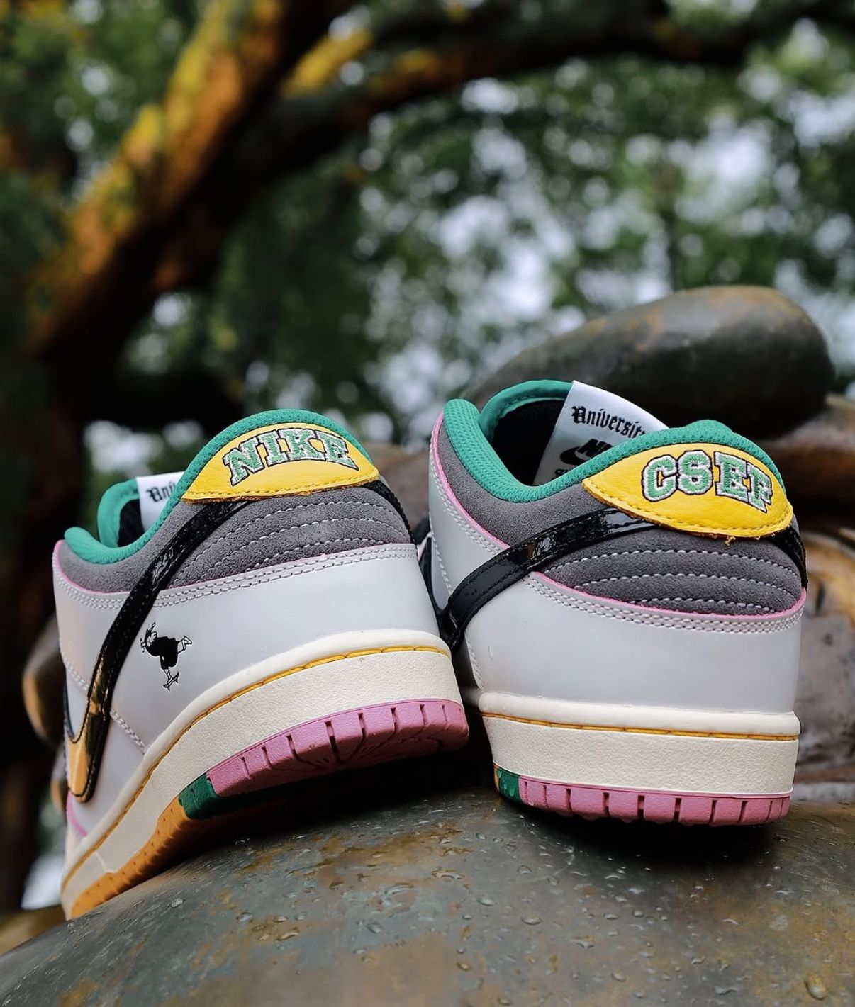 Nike SB Dunk Low Sneakers