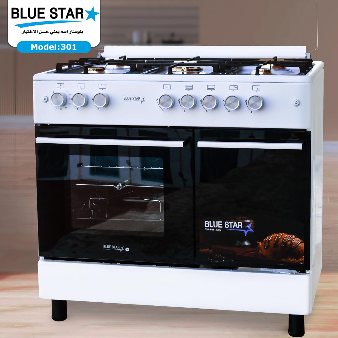Blue star Gas 301
