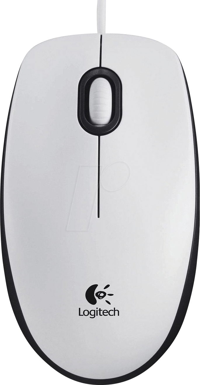 Filaire Logitech B100 Optical Usb Blanc