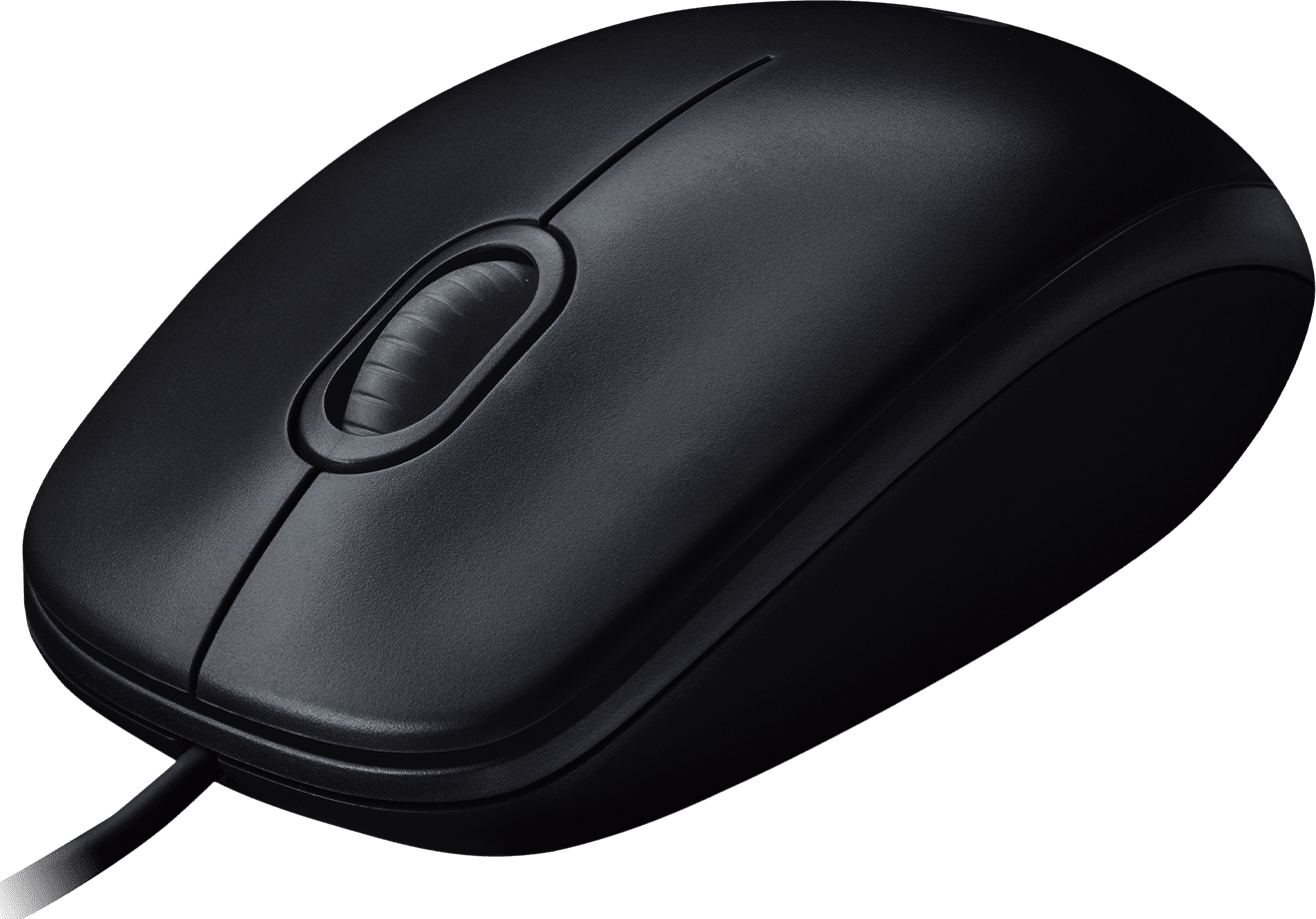 Filaire Logitech M100 Noir