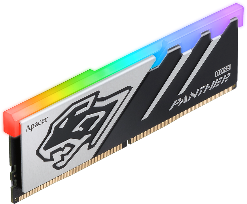 Barrette Memoire 16Go Dimm Ddr5 Apacer Panther Rgb 5600Mhz Noirargent