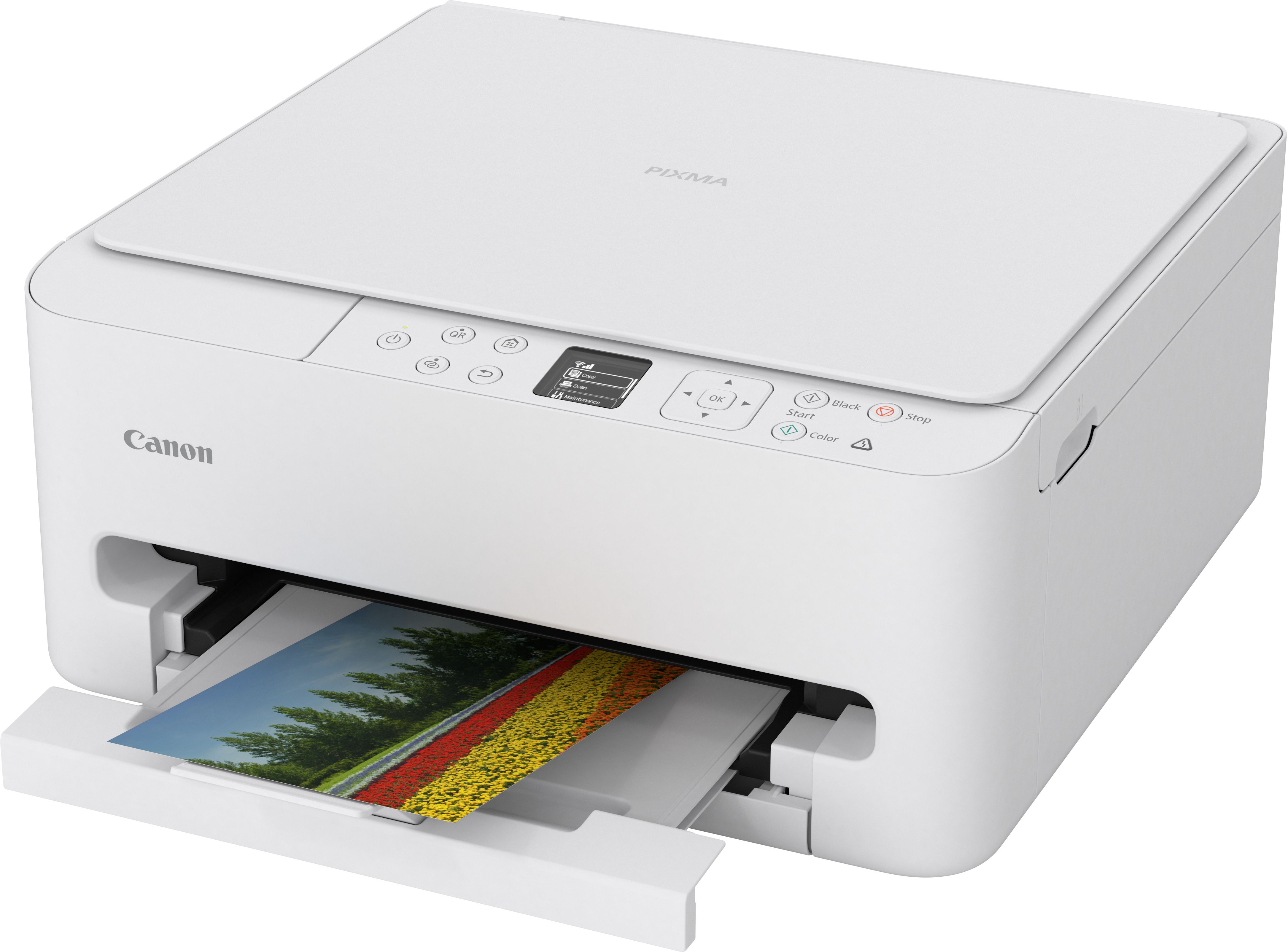 Imprimante Multifonction 3En1 Canon Pixma Ts6550I Blanc