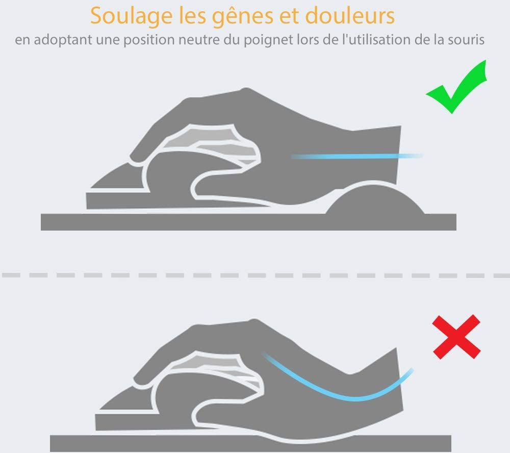 Avec Repose Poignet Fellowes Ergo Mouss Bleu