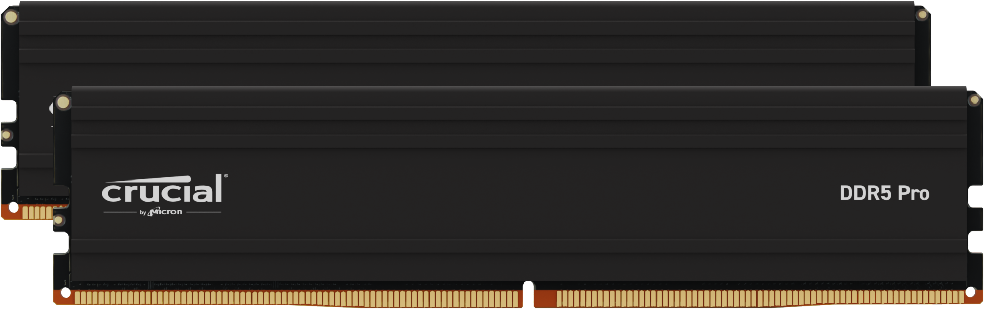 Kit Barrettes Memoire 48Go 2X24Go Dimm Ddr5 Crucial Pro 6000Mhz Noir