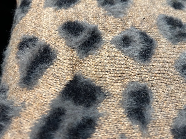 Leopard Print Decorator Pillow Cover