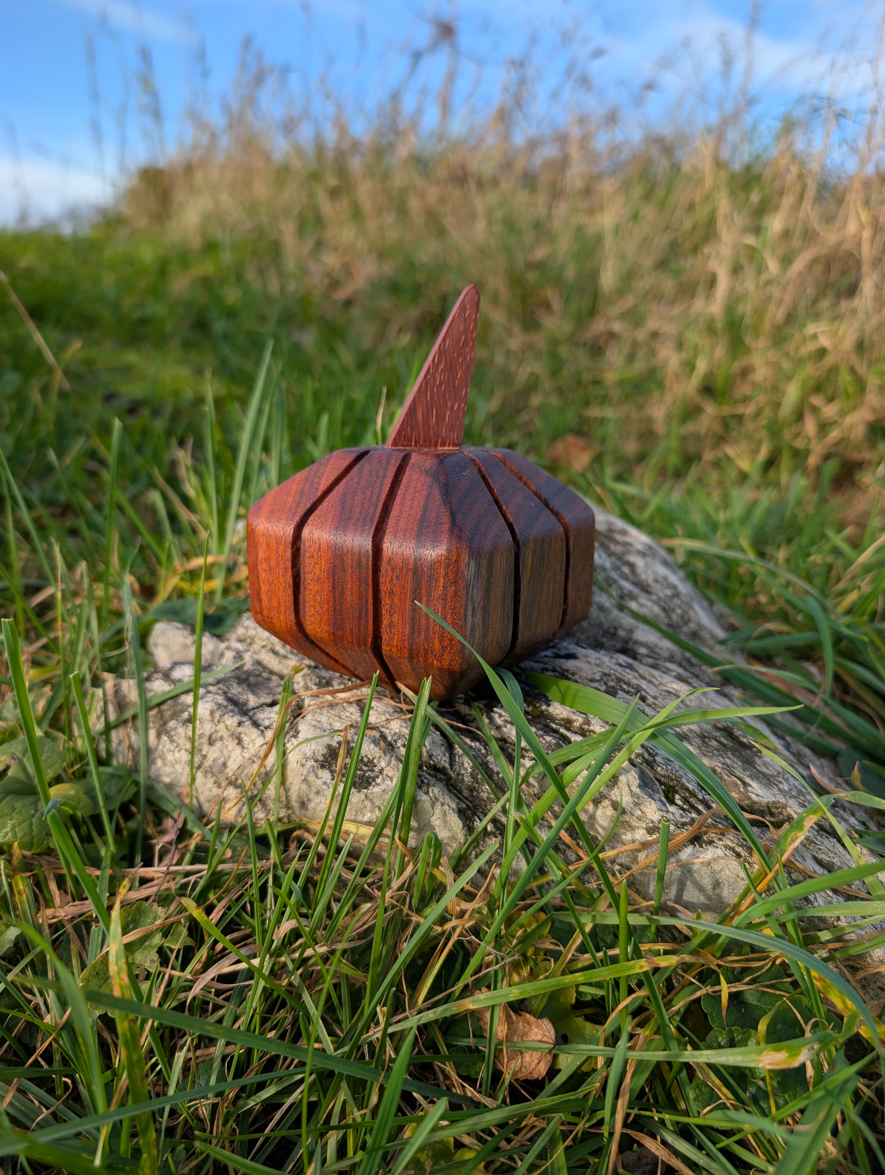 Citrouille en bois exotique - Pompoen in exotisch hout (S/M/L)