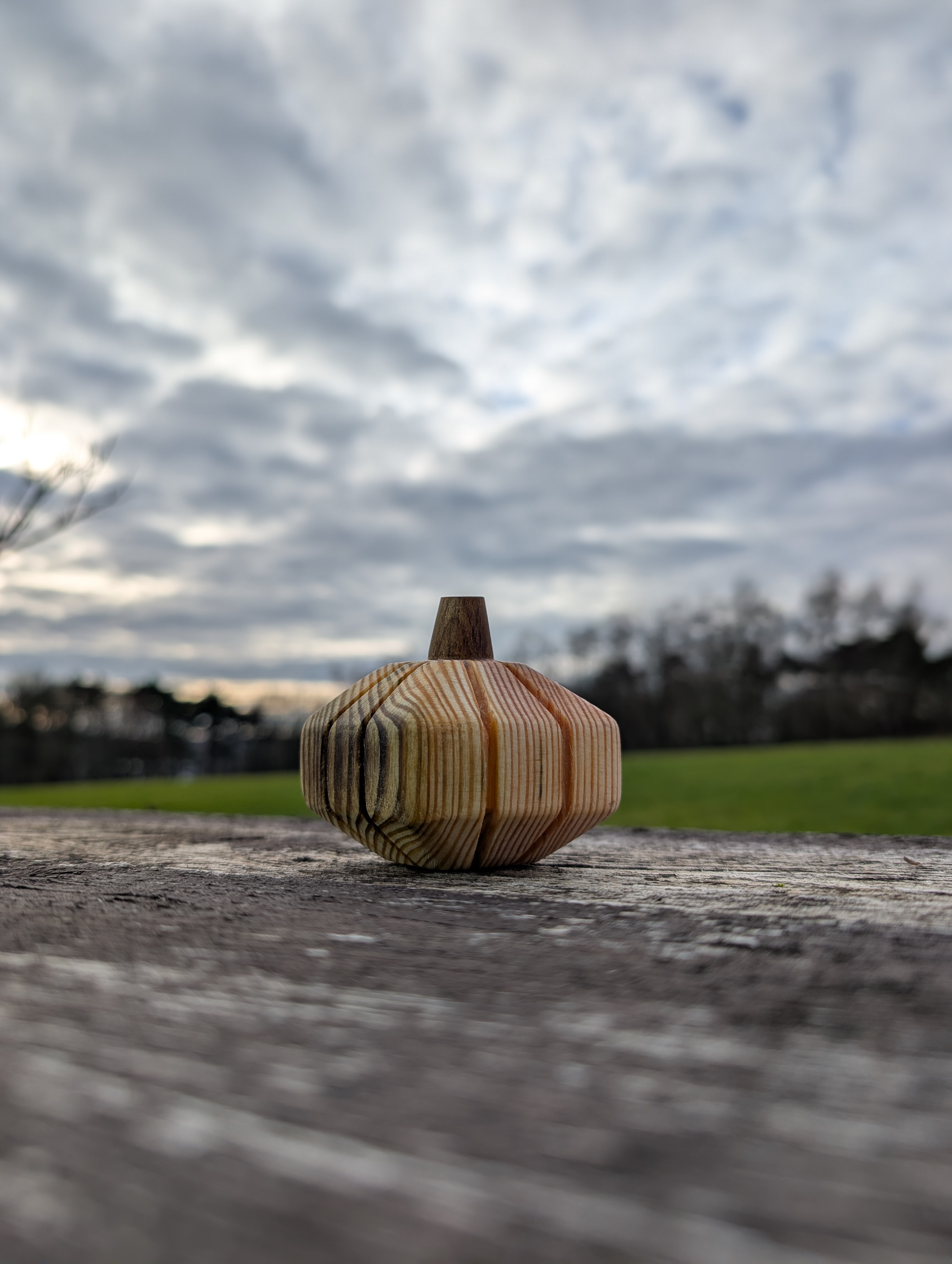 Citrouille bois tendre - Pompoen zachthout (S/M)