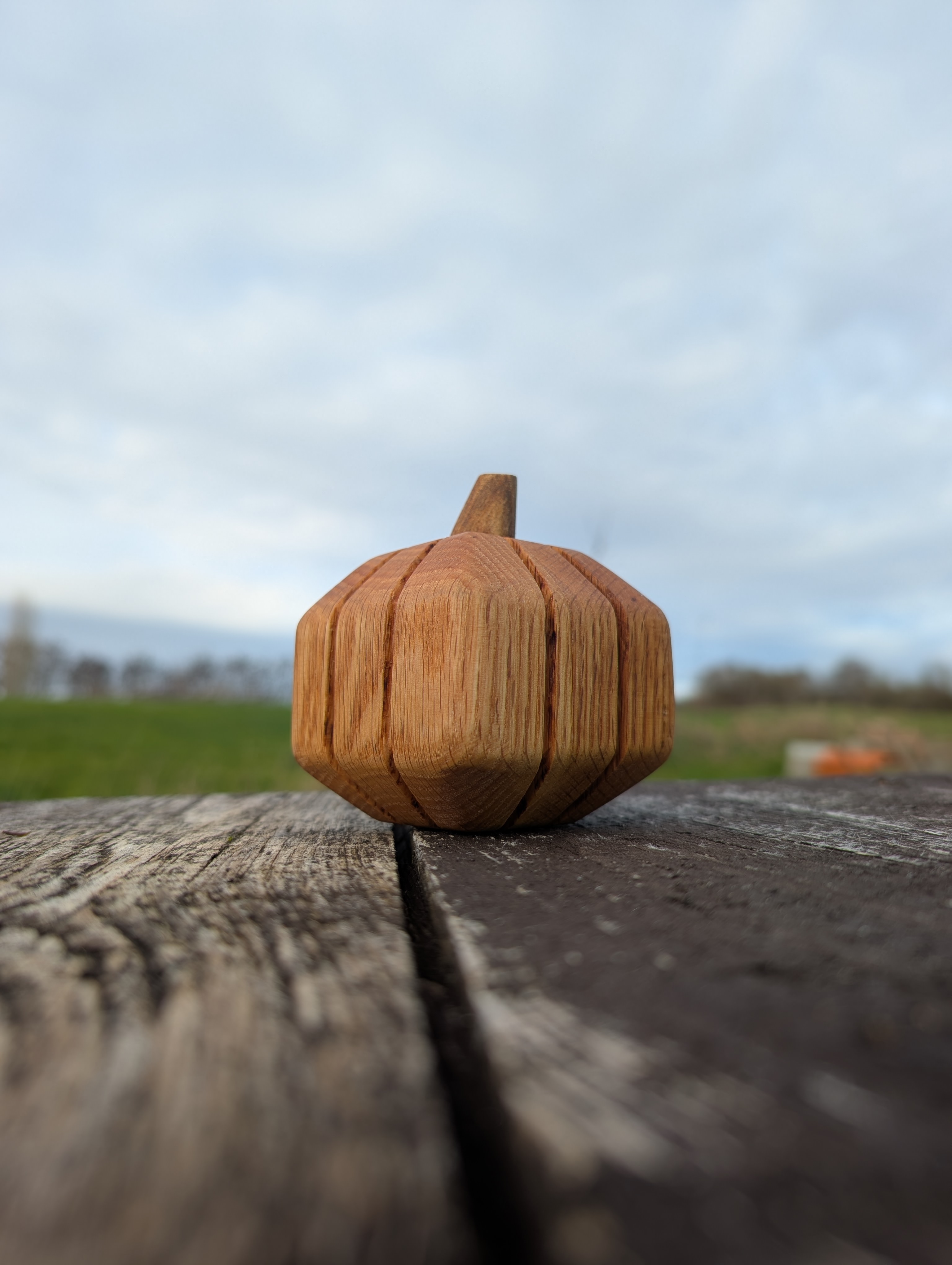 Citrouille en chêne - Eiken pompoen (S/M/L)