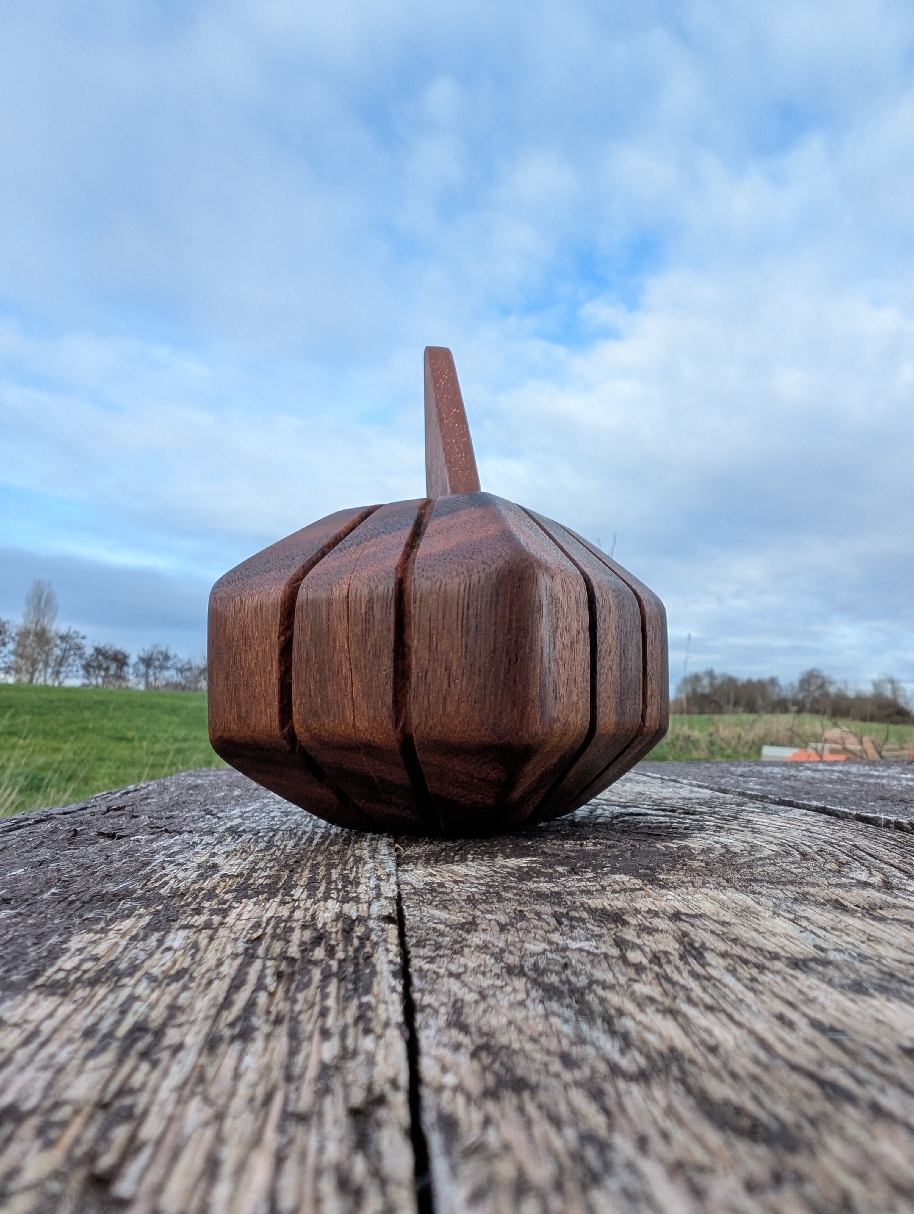 Citrouille en bois exotique - Pompoen in exotisch hout (S/M/L)