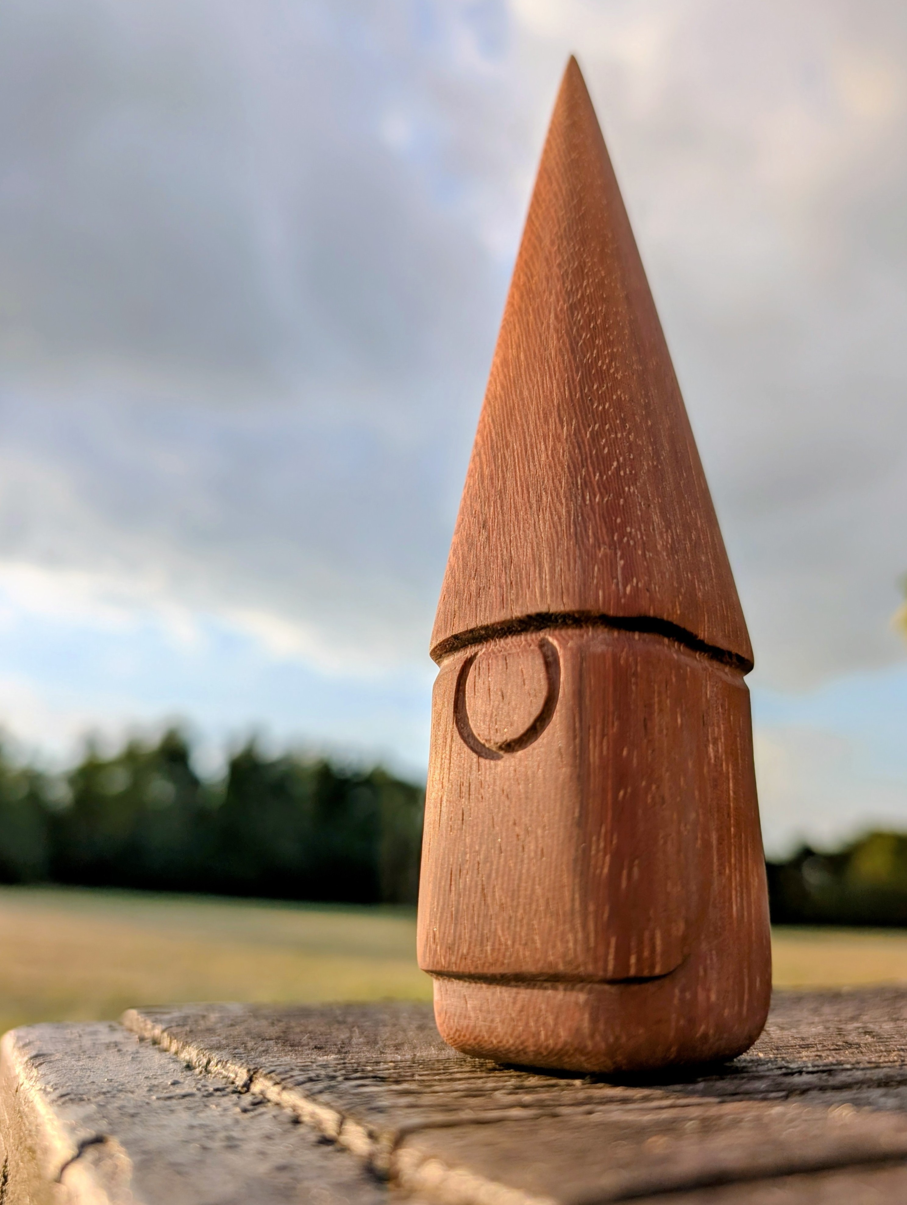 Gnome bois exotique - Kabouter exotisch hout (S/M)