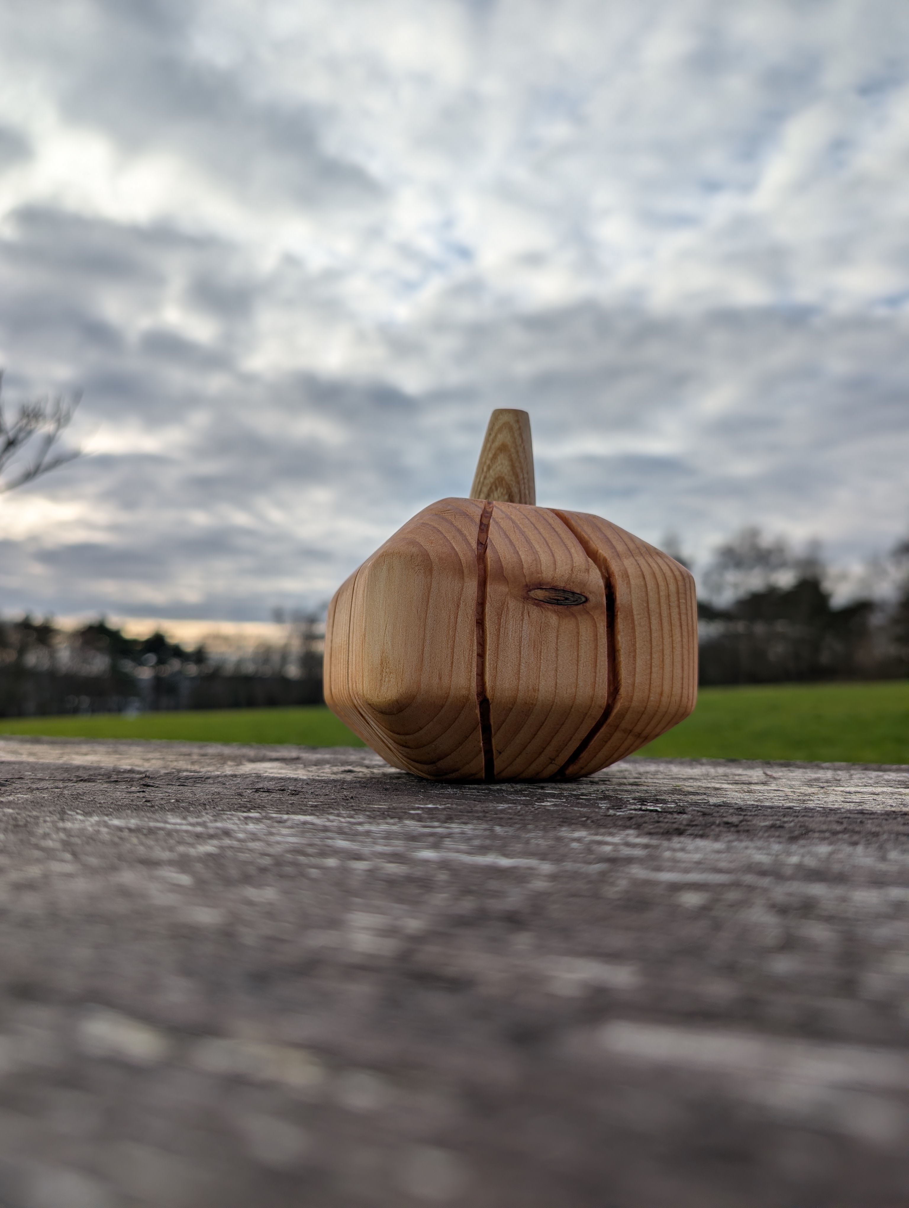 Citrouille bois tendre - Pompoen zachthout (S/M)