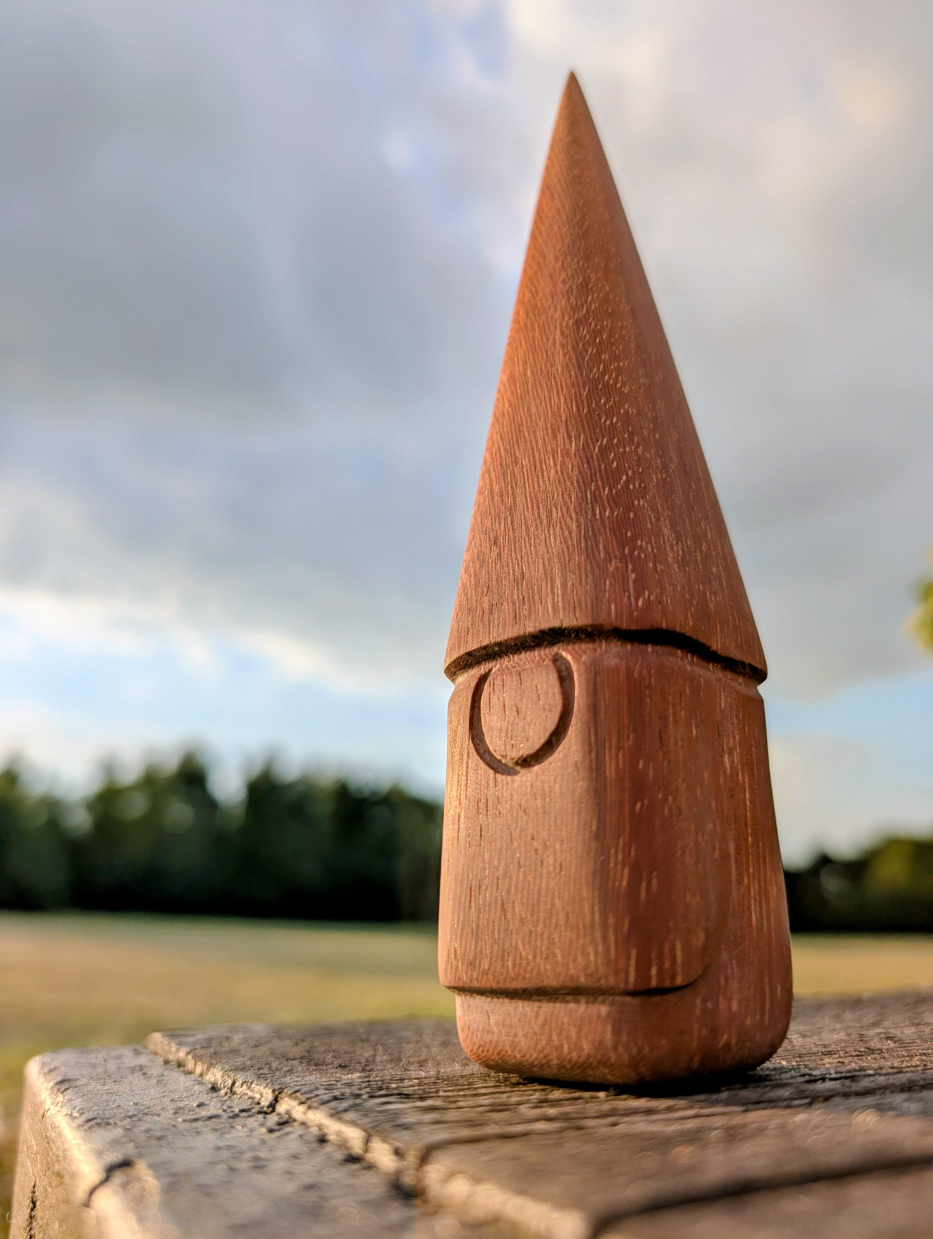 Gnome de jardin - S