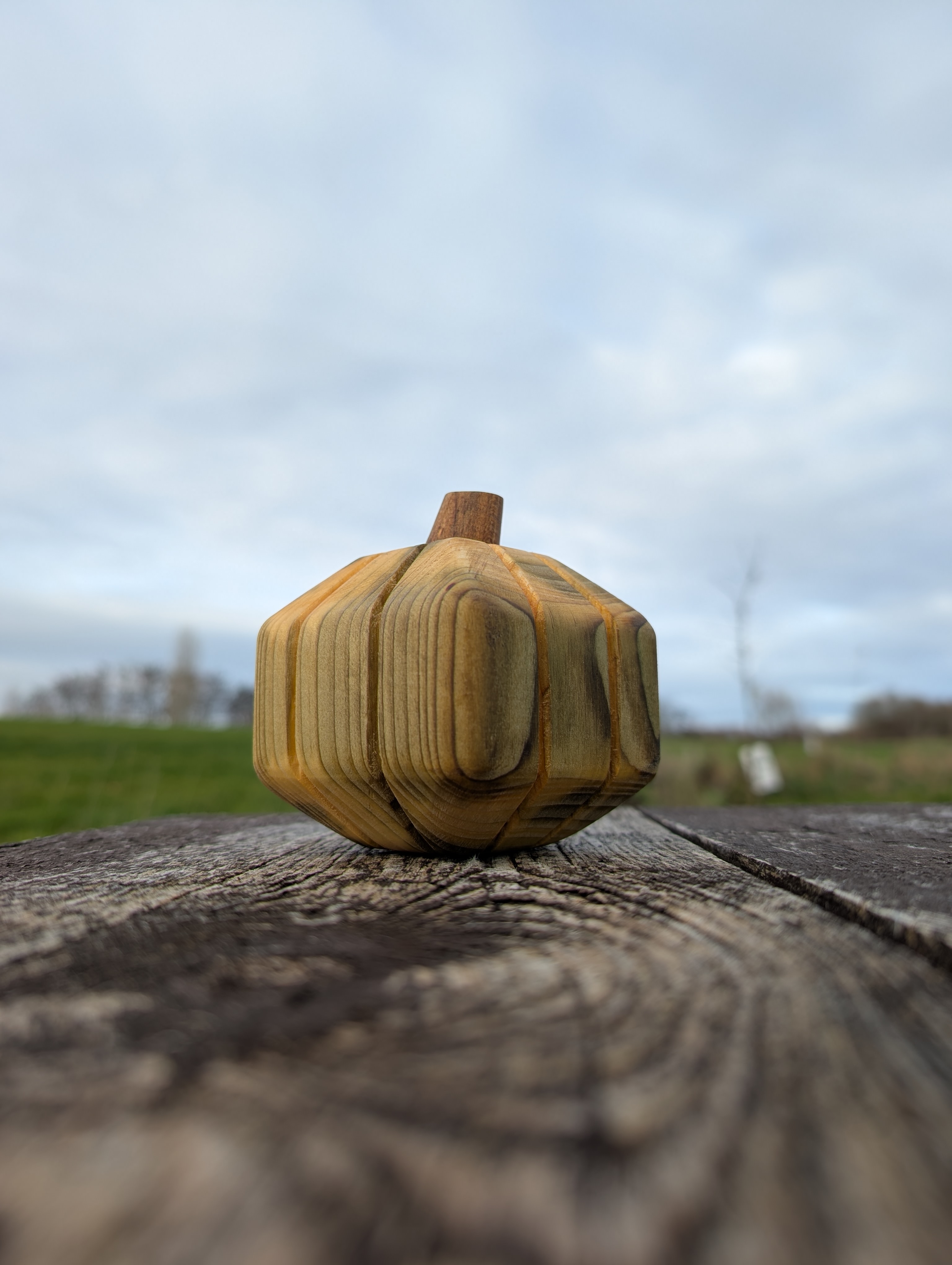 Citrouille bois tendre - Pompoen zachthout (S/M)