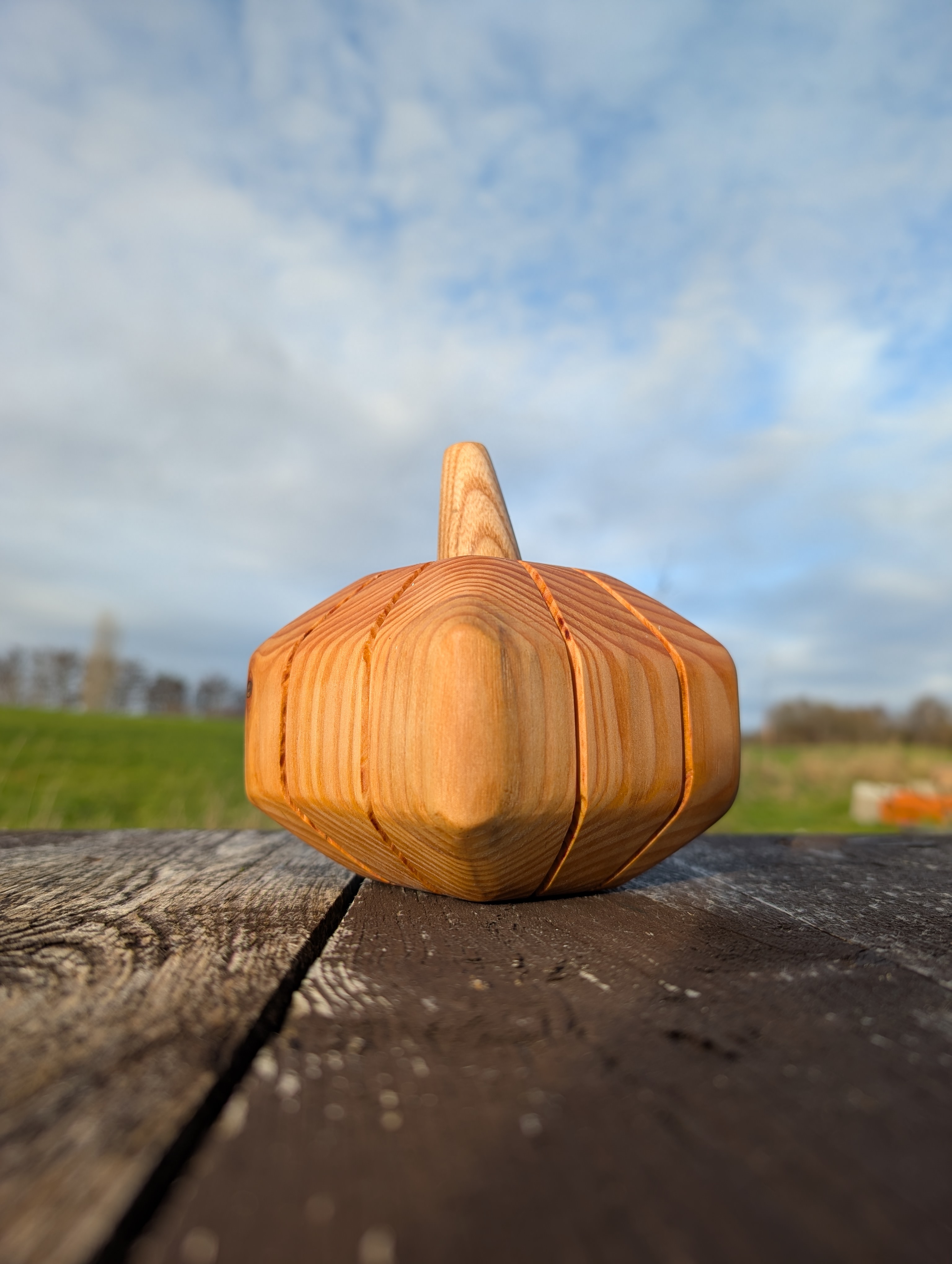 Citrouille bois tendre - Pompoen zachthout (S/M)