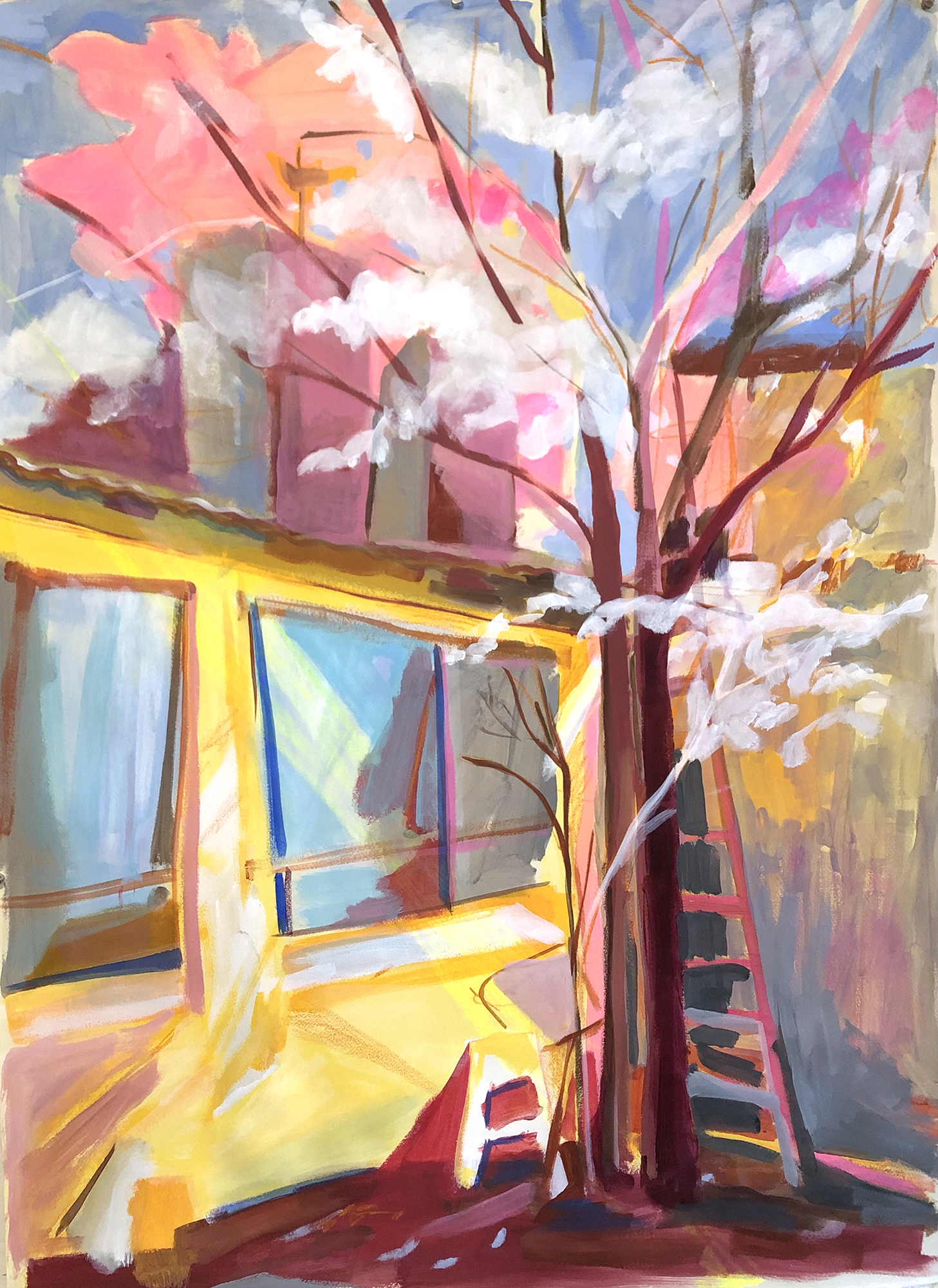 Flores blancas sobre el taller