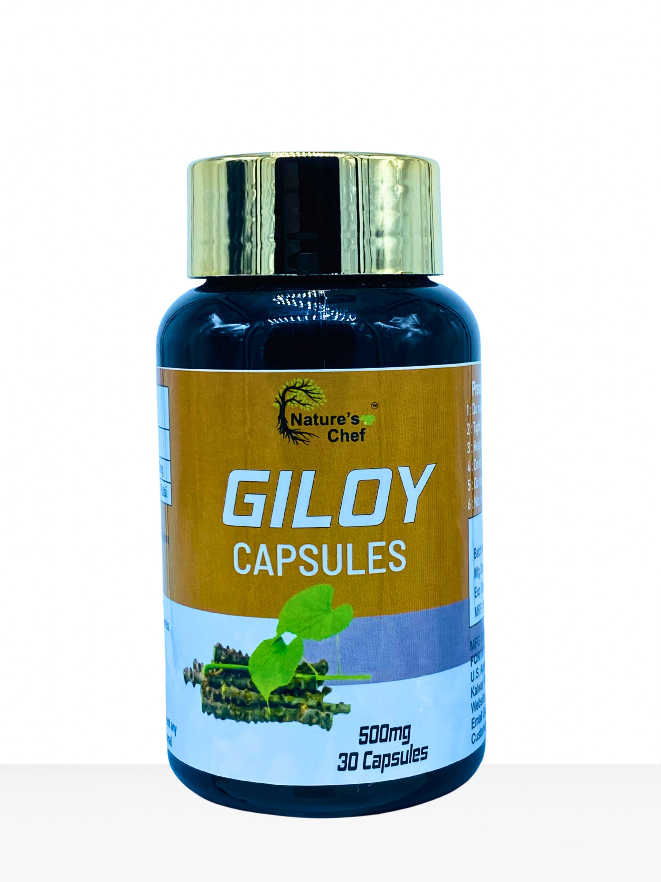 Giloy (30 Capsules)