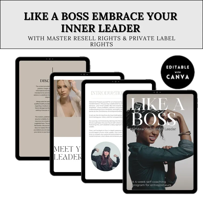 PLR & Master Resell Rights Canva Template | Done-for-You Digital Product | Passive Income Online Business Growth | Editable Lead Magnet