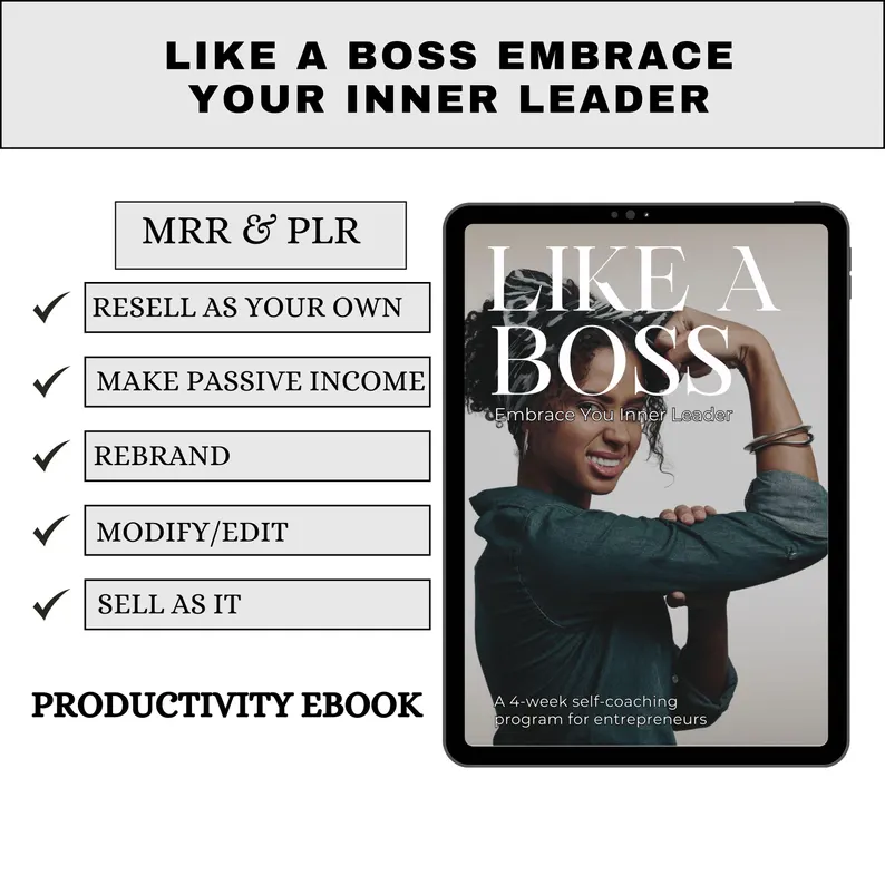 PLR & Master Resell Rights Canva Template | Done-for-You Digital Product | Passive Income Online Business Growth | Editable Lead Magnet