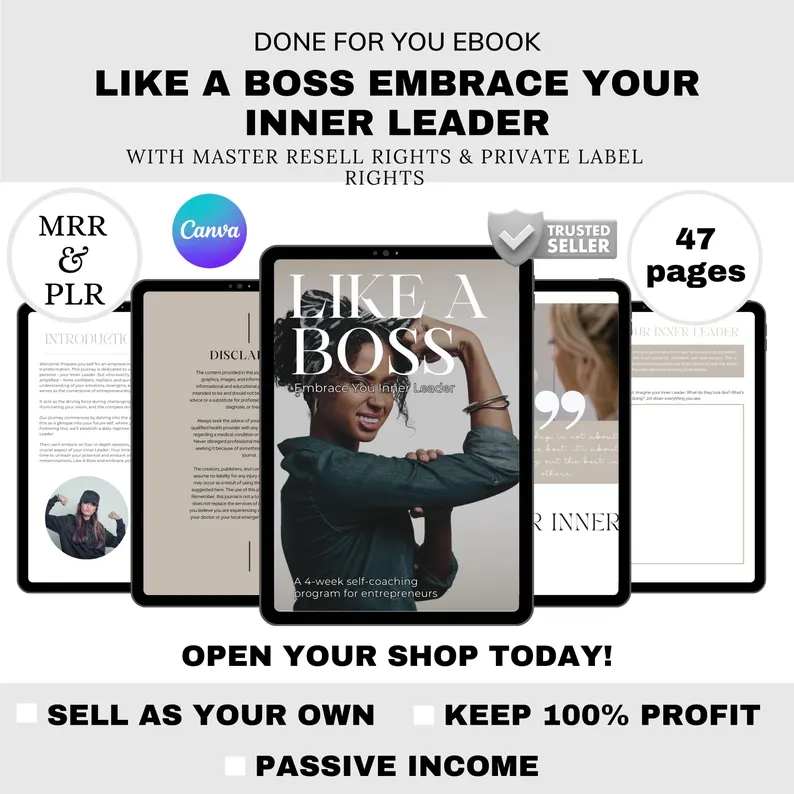 PLR & Master Resell Rights Canva Template | Done-for-You Digital Product | Passive Income Online Business Growth | Editable Lead Magnet