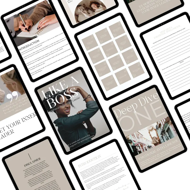 PLR & Master Resell Rights Canva Template | Done-for-You Digital Product | Passive Income Online Business Growth | Editable Lead Magnet