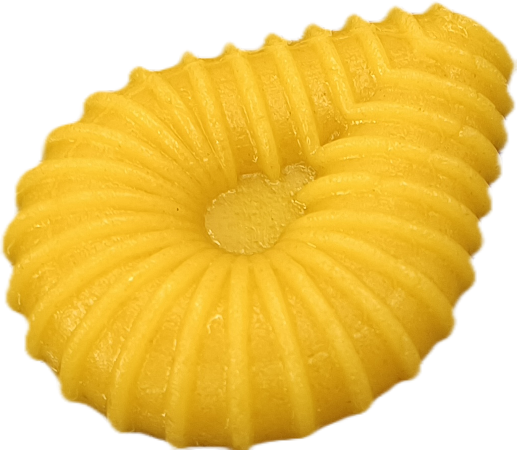 K10A - Školjka mala