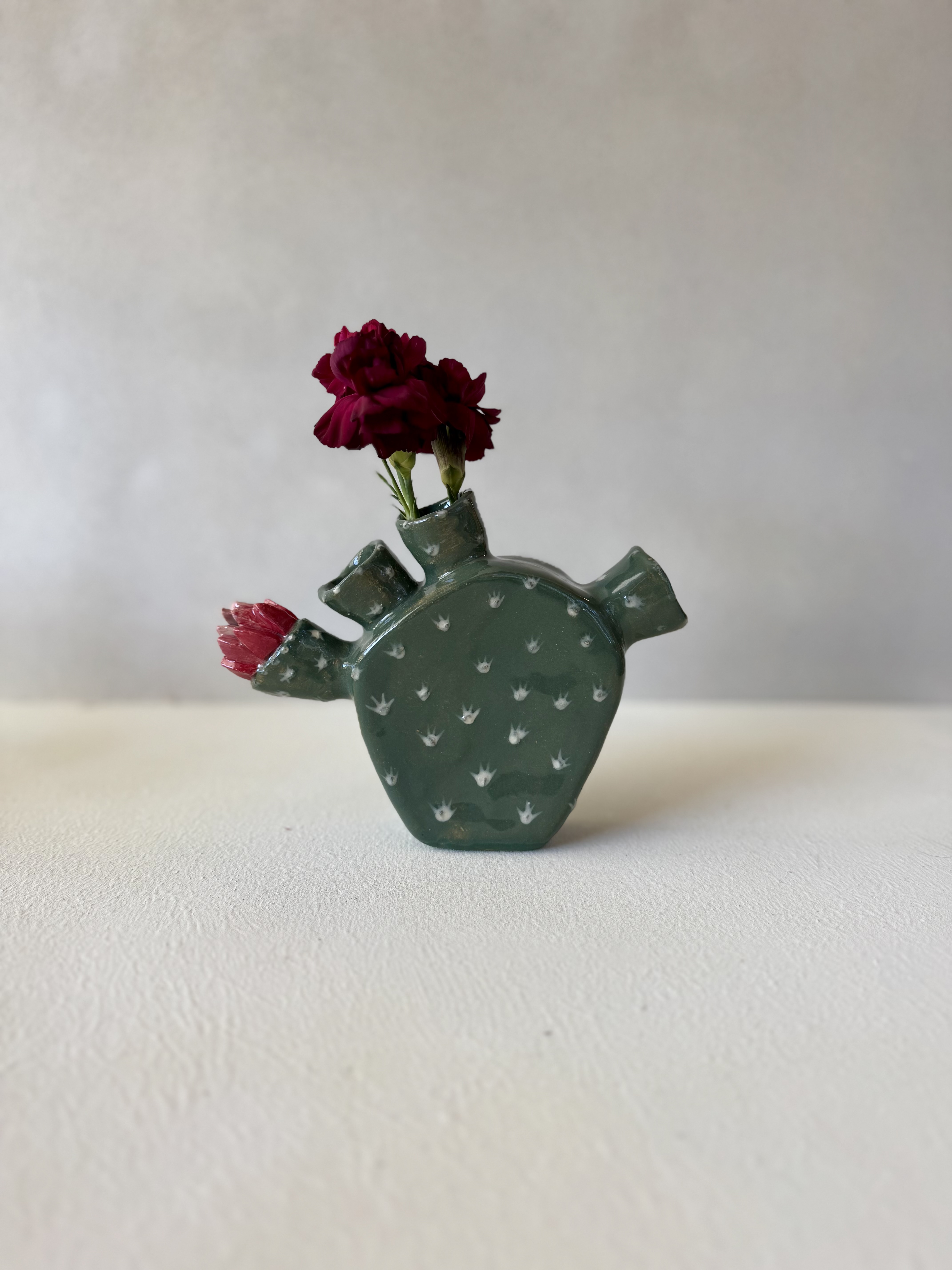 Cactus Flower Holder