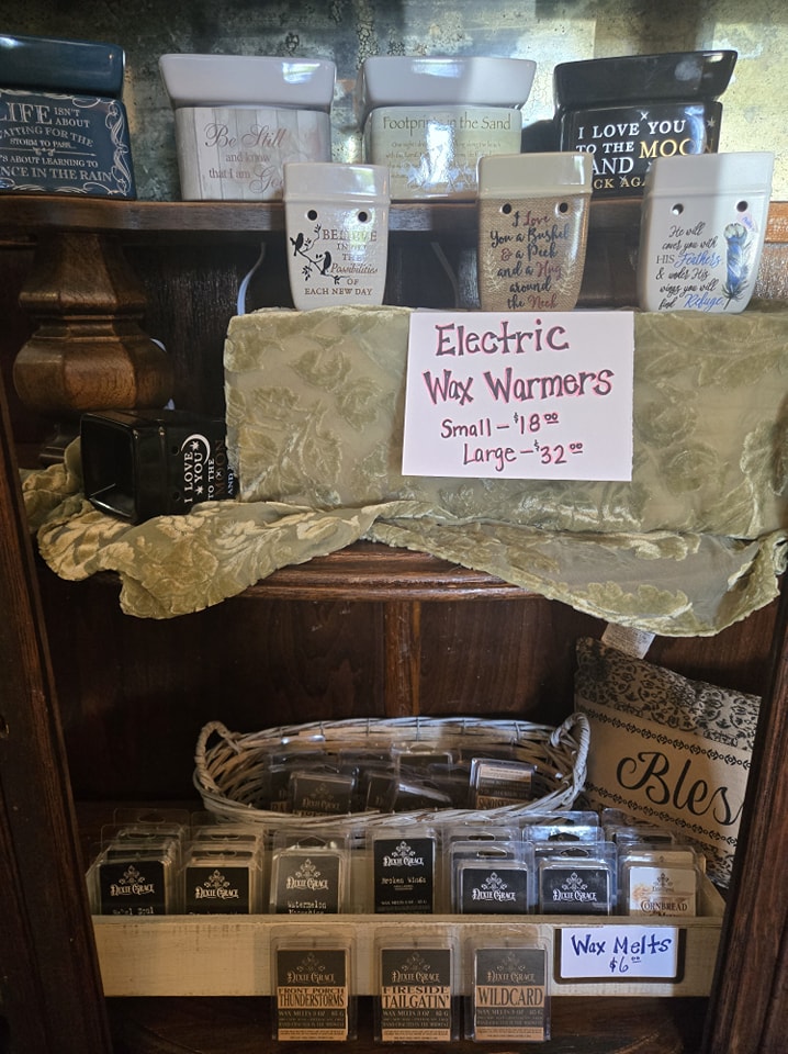 Electric Wax Warmers