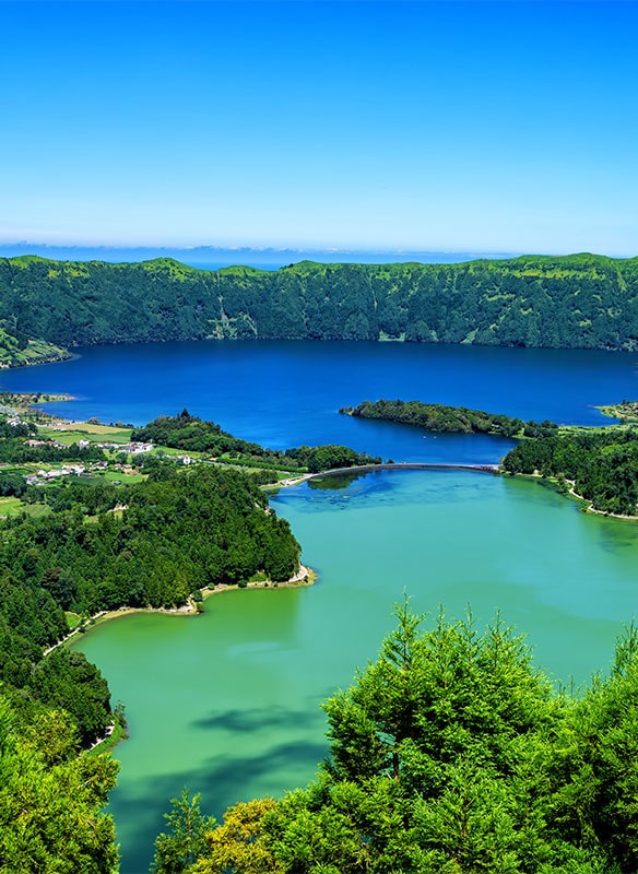 Baleias e Maravilhas Vulcânicas dos Açores e Madeira