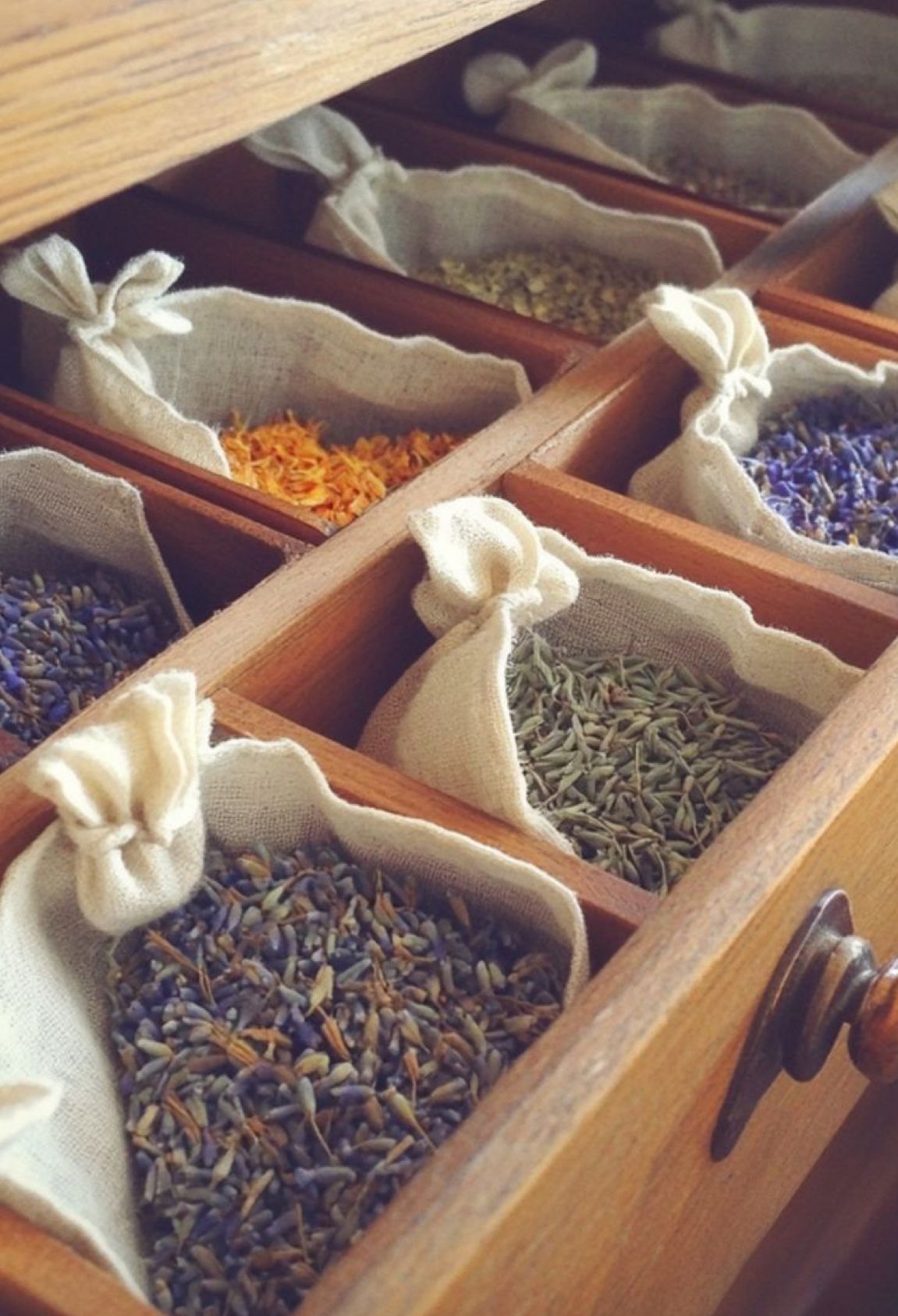 Create & Scent Course