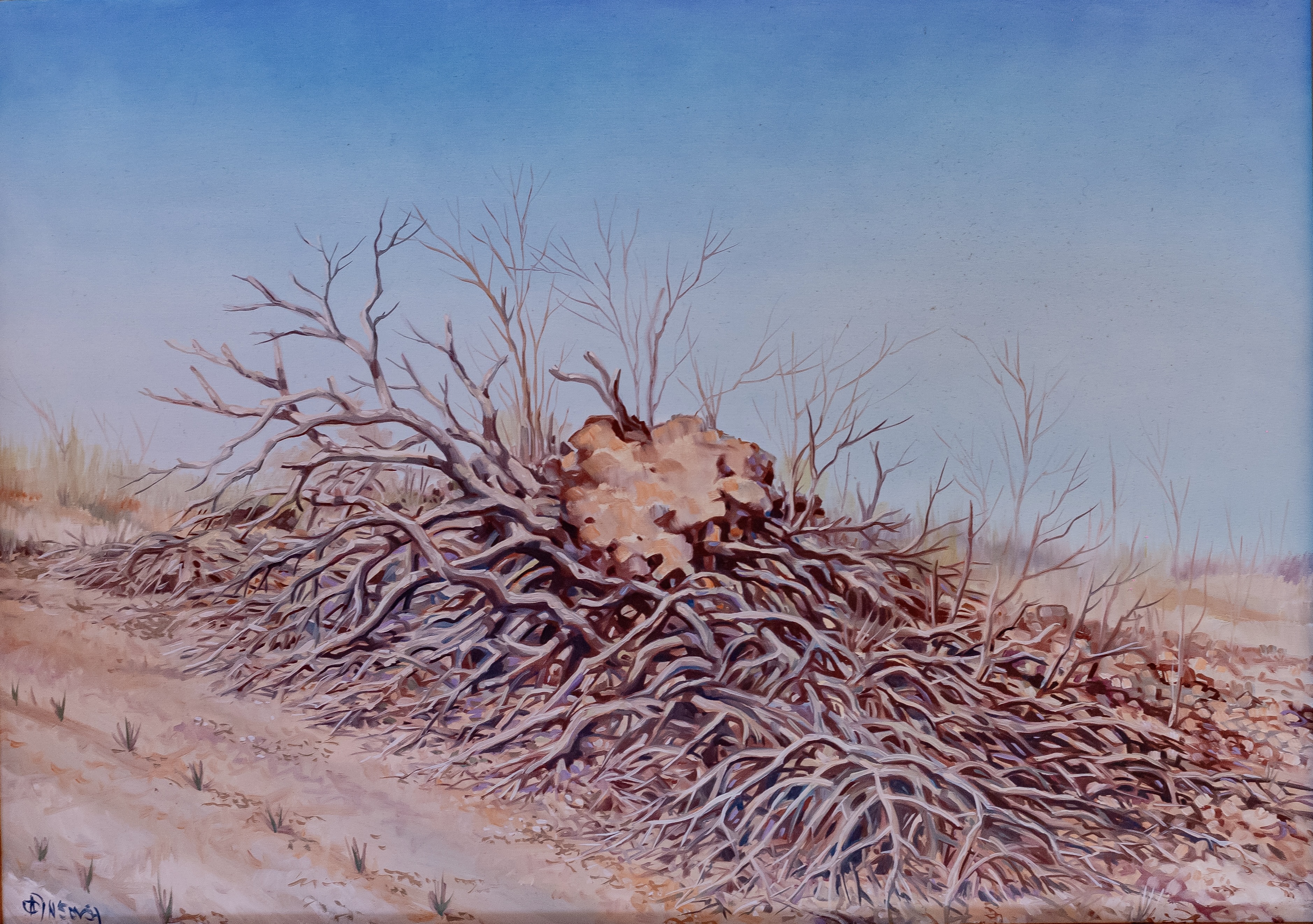 36 | Brasil - Bahia, Plantação de Milho na Catinga