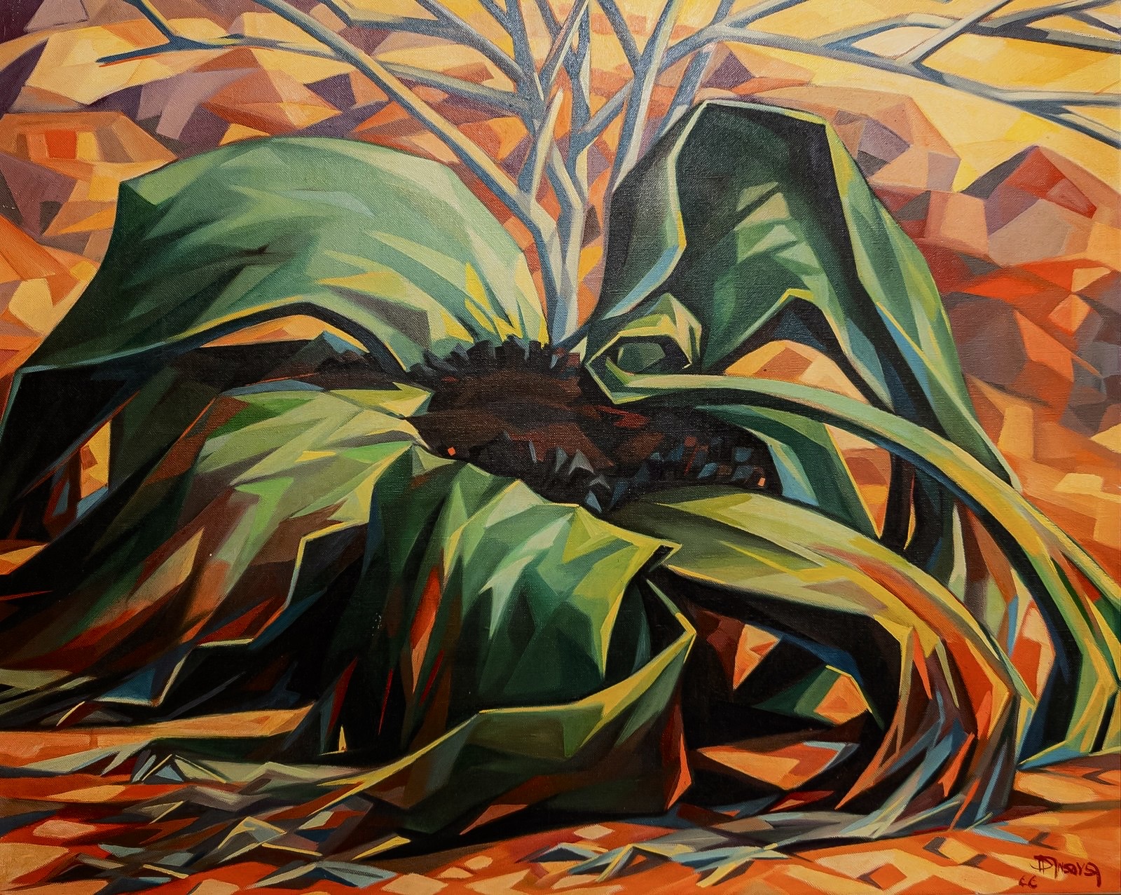 09 | Angola - Namibia, Welwitschia Mirabilis