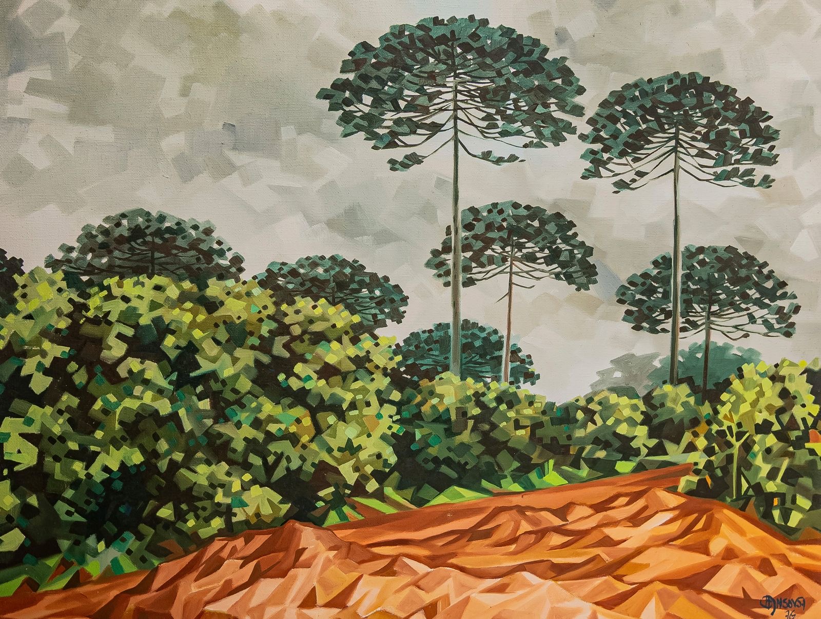 30 | Brasil - Curitiba, Araucárias