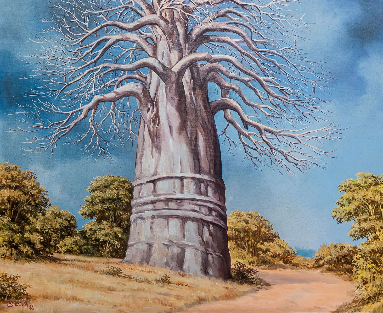 11 | Angola - Embondeiro, Estrada do Caliri