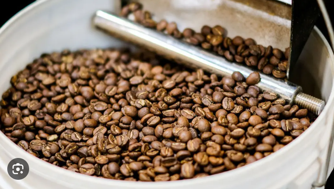 INTERBEST | Organic Coffee Beans (specialty roasts)