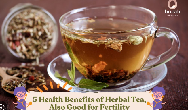 INTERBEST | Herbal Infusions (for health benefits)