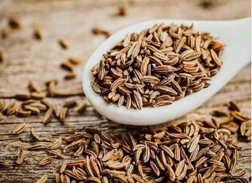 INTERBEST | Organic Cumin Seeds
