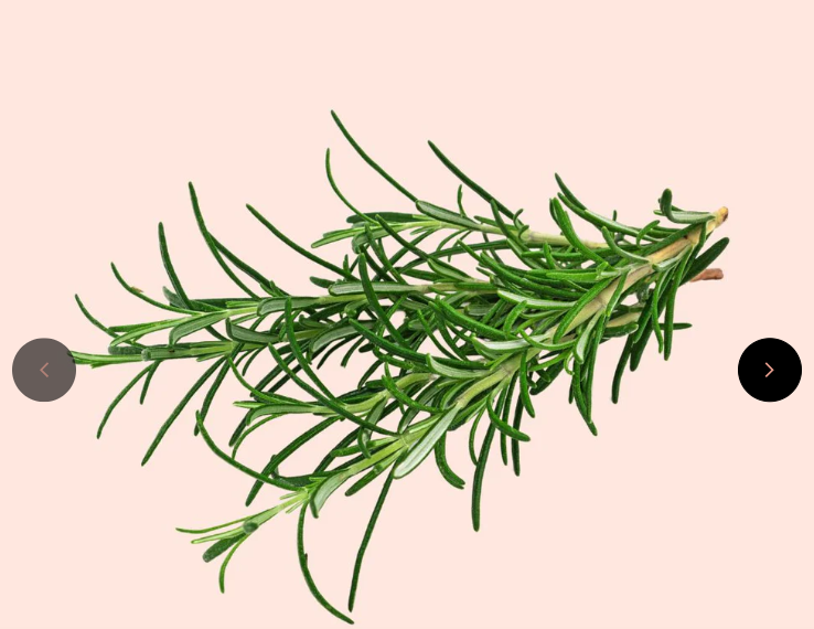 INTERBEST | Essential Oils (Small, Therapeutic Grade)