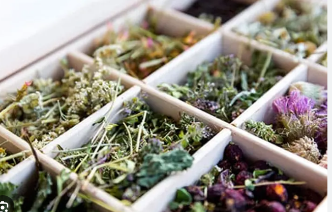 INTERBEST | Herbal Infusions (for health benefits)