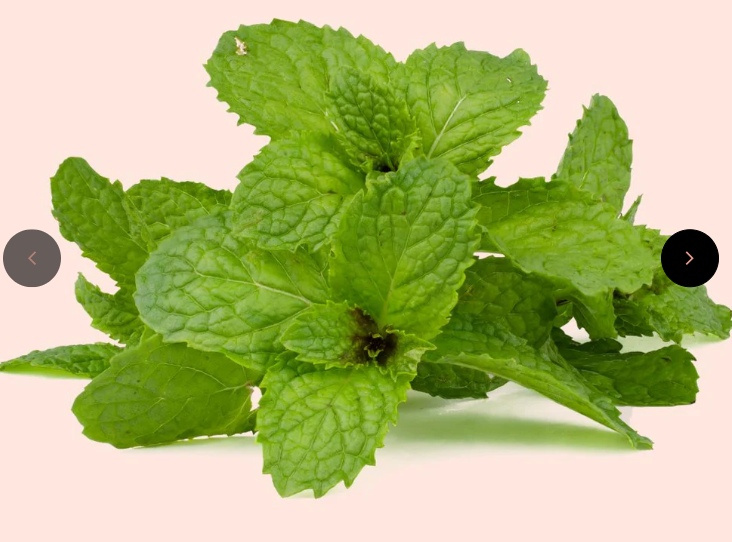 INTERBEST | Essential Oils (Small, Therapeutic Grade)