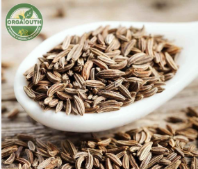 INTERBEST | Organic Cumin Seeds