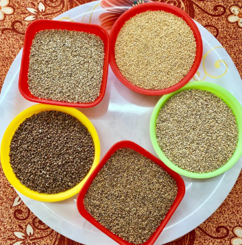 INTERBEST | Millets (organic, niche varieties)