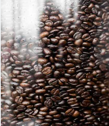 INTERBEST | Organic Coffee Beans (specialty roasts)