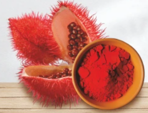 INTERBEST | Natural Food Colors (from plants)