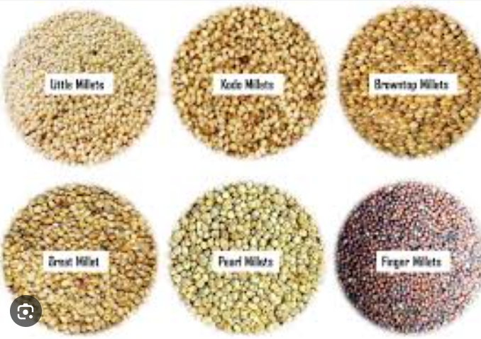 INTERBEST | Millets (organic, niche varieties)