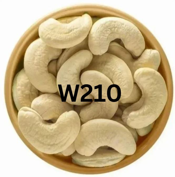 W210 Cashew Nuts